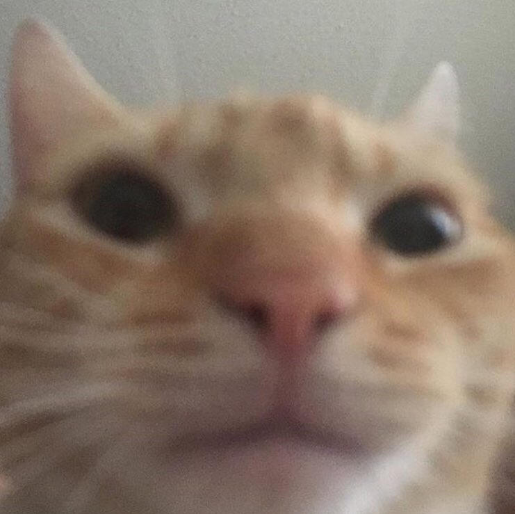 hello